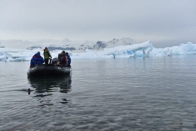 DSC_0204.JPG