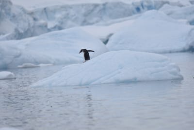 DSC_0206.JPG