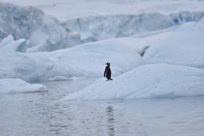 DSC_0207.JPG