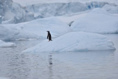 DSC_0208.JPG