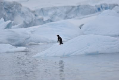 DSC_0209.JPG
