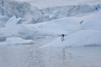 DSC_0210.JPG