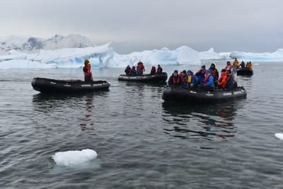 DSC_0219.JPG