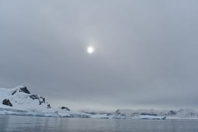 DSC_0248.JPG