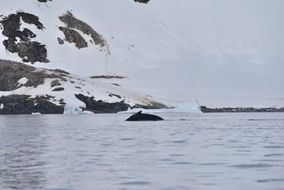 DSC_9891.JPG