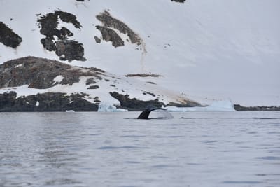 DSC_9894.JPG