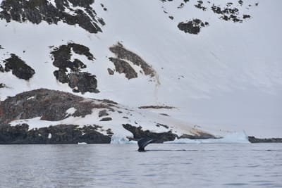 DSC_9895.JPG