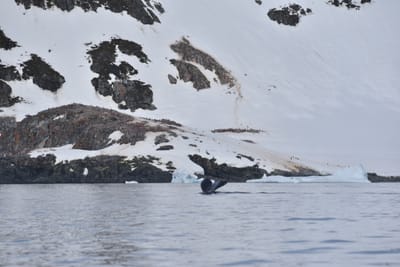 DSC_9896.JPG
