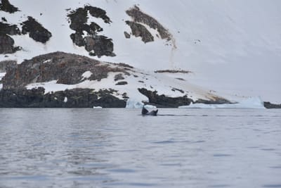 DSC_9897.JPG