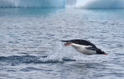 DSC_9899.JPG