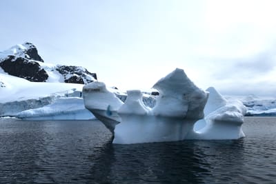 DSC_9902.JPG