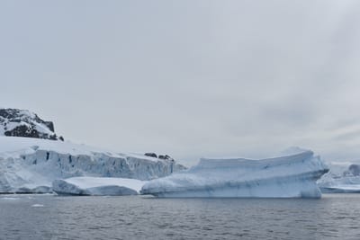 DSC_9903.JPG