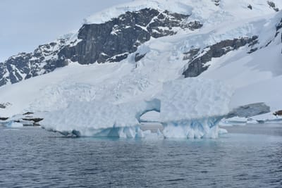 DSC_9904.JPG