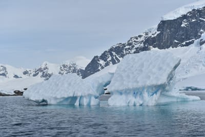 DSC_9905.JPG