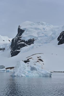 DSC_9908.JPG