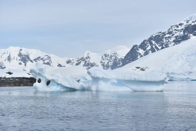DSC_9909.JPG