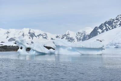 DSC_9910.JPG