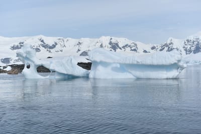 DSC_9911.JPG