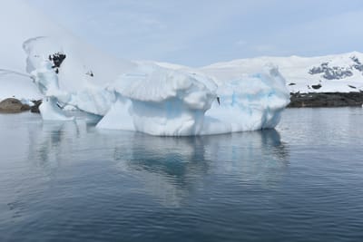 DSC_9912.JPG