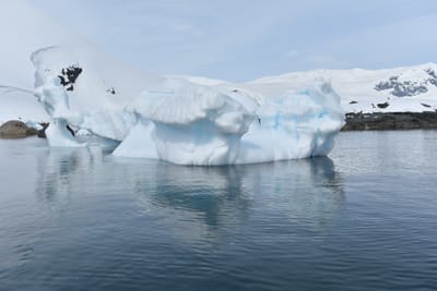 DSC_9913.JPG