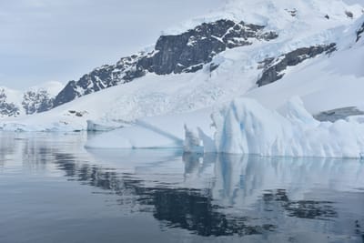 DSC_9914.JPG
