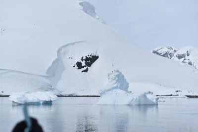 DSC_9915.JPG
