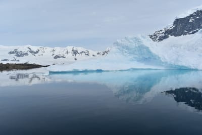 DSC_9916.JPG