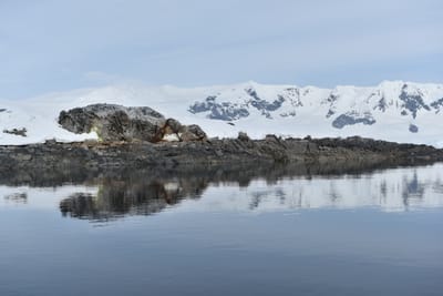 DSC_9918.JPG