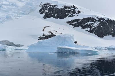 DSC_9920.JPG