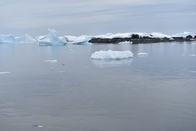 DSC_9922.JPG