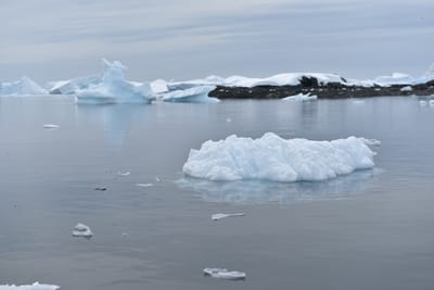 DSC_9924.JPG