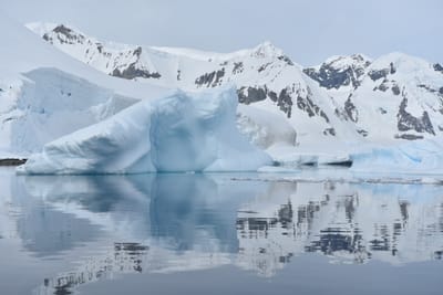 DSC_9925.JPG