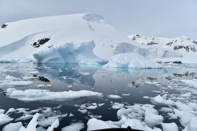 DSC_9926.JPG