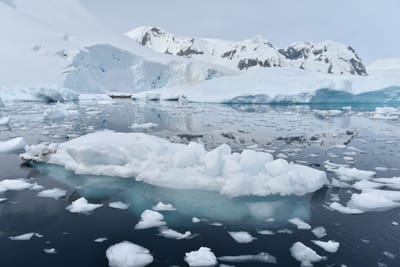 DSC_9928.JPG