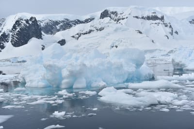 DSC_9933.JPG