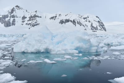 DSC_9935.JPG