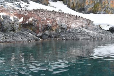 DSC_9942.JPG