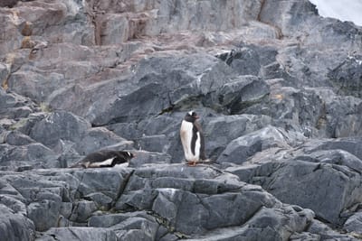 DSC_9943.JPG