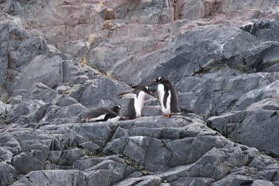 DSC_9945.JPG