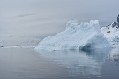 DSC_9948.JPG