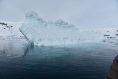 DSC_9949.JPG