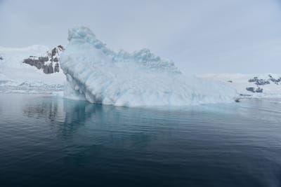 DSC_9950.JPG