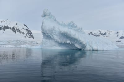 DSC_9951.JPG