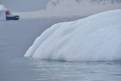 DSC_9957.JPG