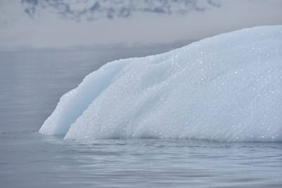 DSC_9958.JPG
