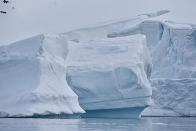 DSC_9960.JPG