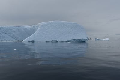 DSC_9961.JPG