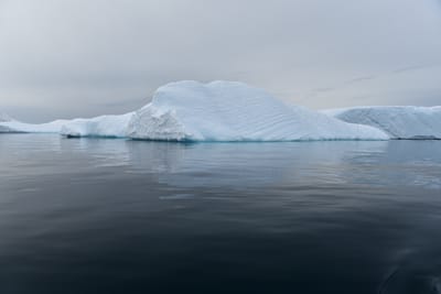 DSC_9963.JPG