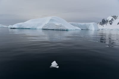 DSC_9964.JPG
