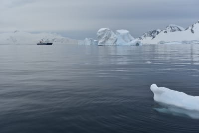 DSC_9983.JPG